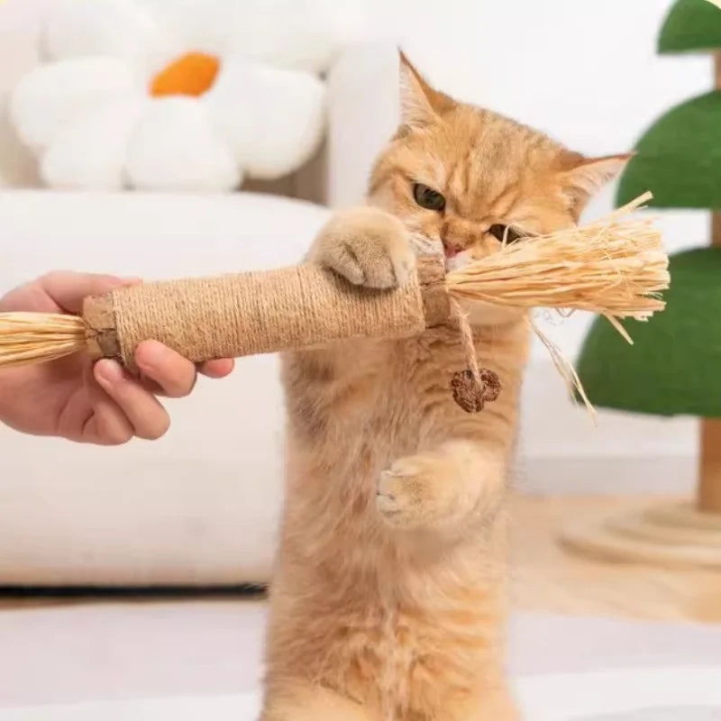 Matatabi Cleaning Sticks