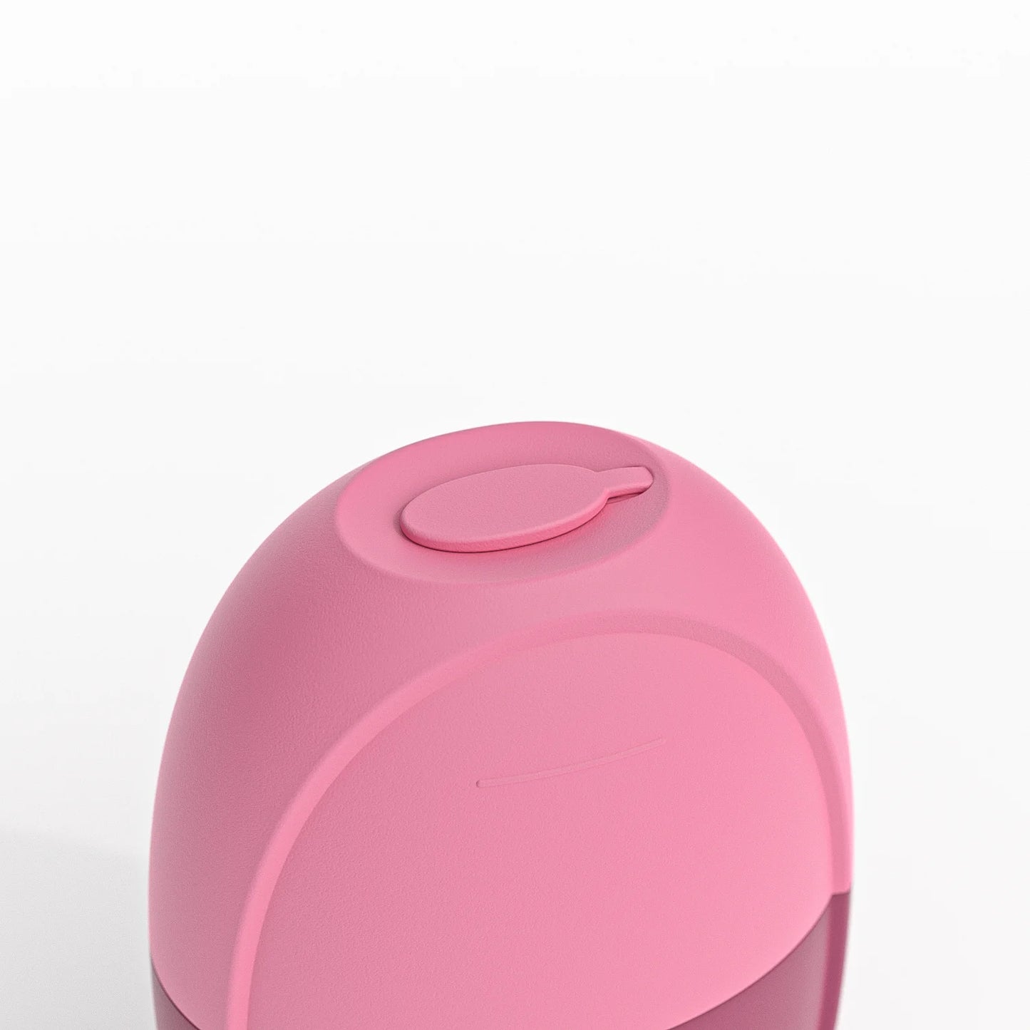 2 In 1 Guasha Ice Roller